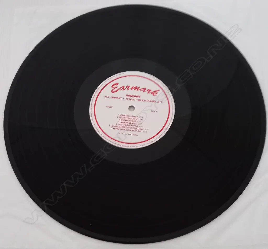 Ramones, Live, January 7, 1978 At The Palladium, NYC (Double album) Image 1++